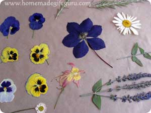 Crafty Ideas for Dried or Pressed Flowers ~ Bless My Weeds