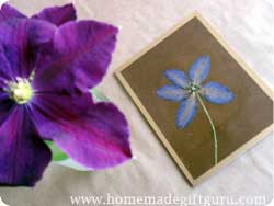 Dried Pressed Flowers: Instructions and Gift Ideas